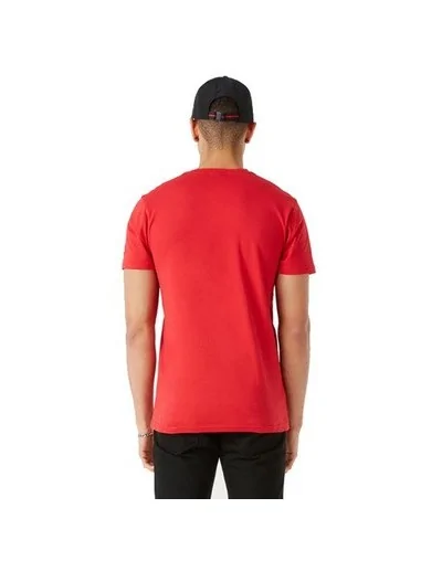 Camiseta Chicago Bulls Team Logo Stripe, rojo